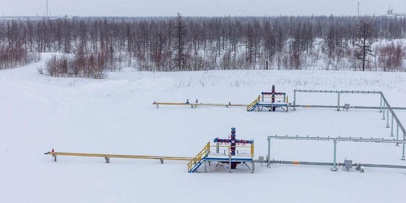 photo_2025_01_29_09_04_18